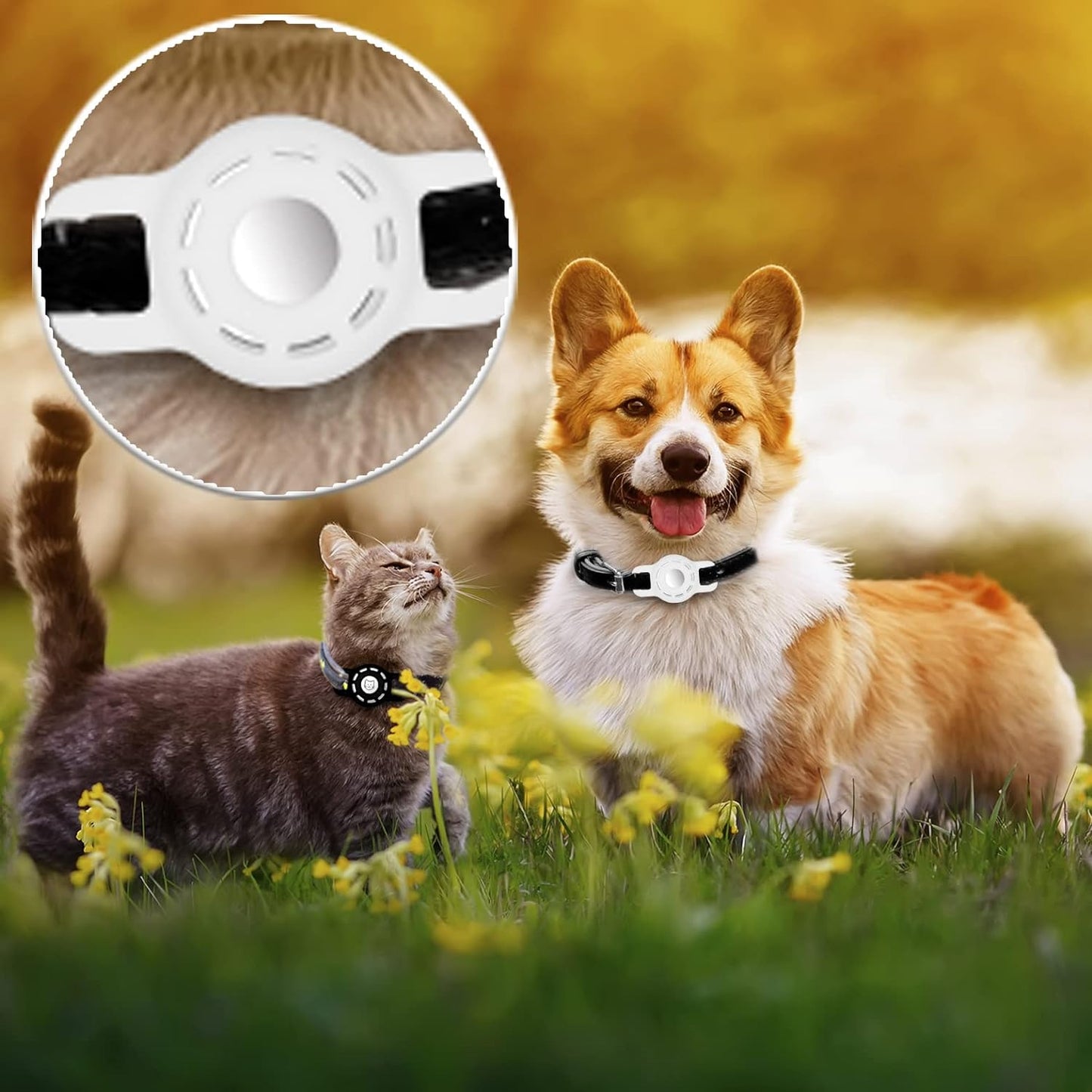 Airtag Cat Collar Holder for Apple Air Tag Cat Collar Holder within 1/2 Inch, Airtag Dog Collar Holder Small, 2 Pack Airtag Pet Collar Holder for Apple Airtag Collar and 2 Pack Airtag Protector